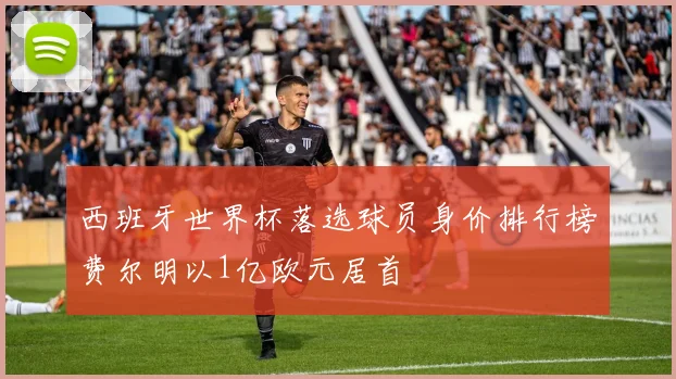 西班牙世界杯落选球员身价排行榜费尔明以1亿欧元居首